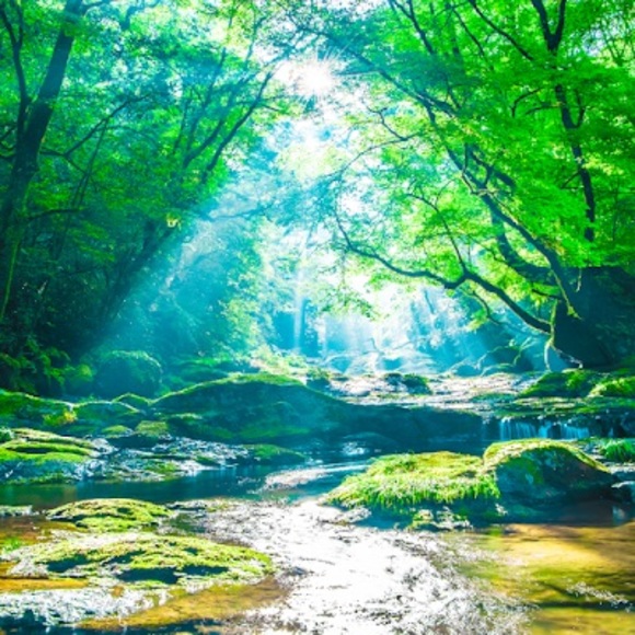 Meet your Posher, Lisa - Picture 1 of 1